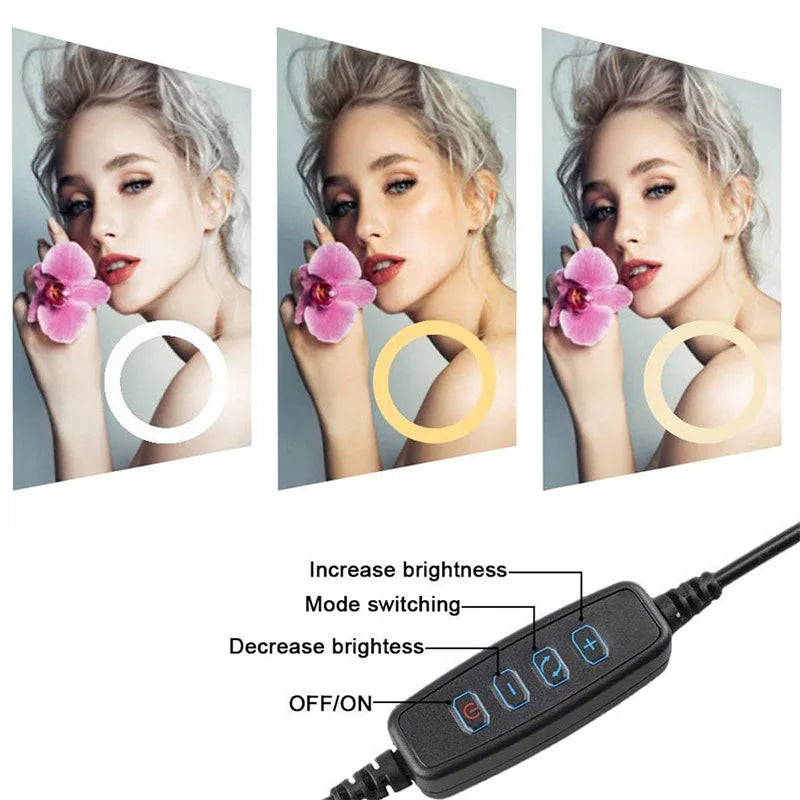 LED Selfie anneau lumineux photographie vidéo lumière RingLight support de téléphone trépied lumière de remplissage lampe à intensité variable Trepied Streaming 10 "26 cm