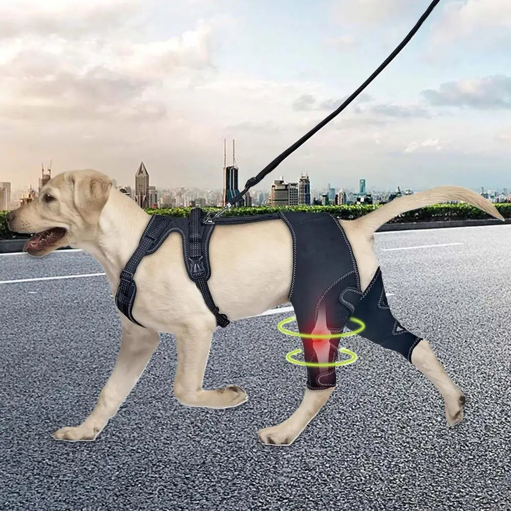 Orthèse orthopédique pour chiens et animaux de compagnie, attelle de soutien orthopédique pour les hanches, Support de jambe réglable pour garder les articulations des animaux au chaud et Stable