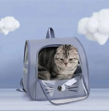 Sac à dos de transport pour animaux de compagnie, grand sac à dos pour chat, Transparent, respirant, Portable, pour chats et chiens, sac à bandoulière de transport