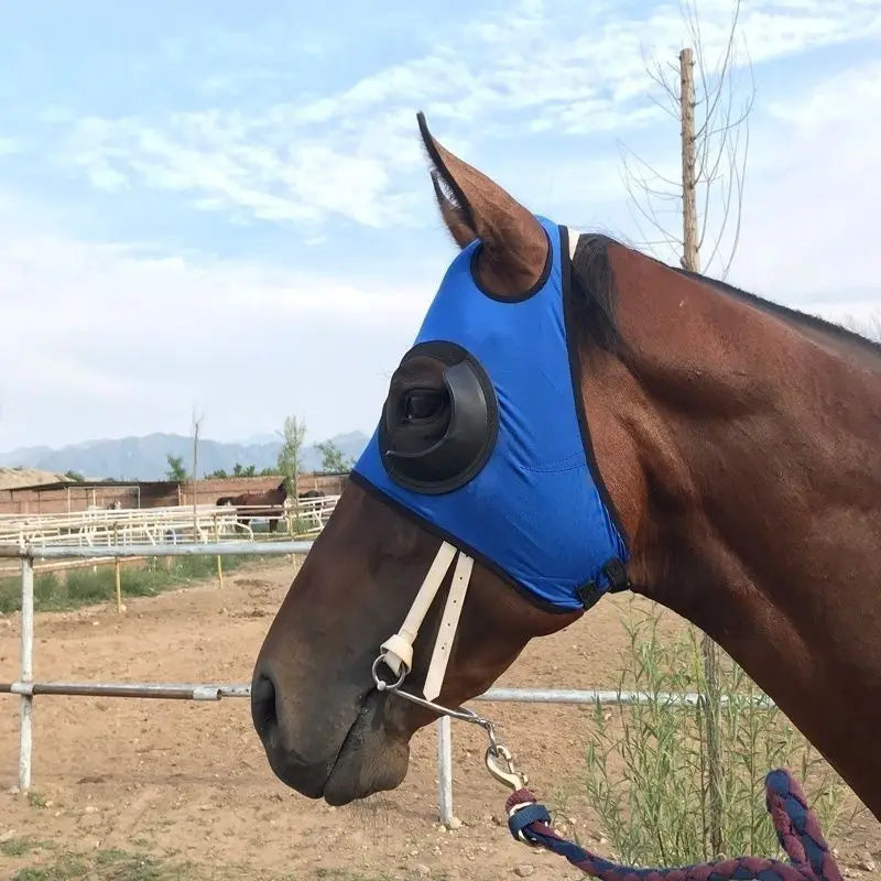 Équipement équestre, masque oculaire coupe-vent, gilet professionnel pour cheval de course, masque oculaire anti-sable, tête de cheval