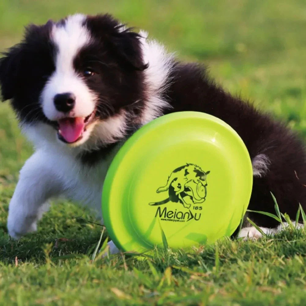 Durable pet dog training disc for puppy and adult dog training, lightweight and easy-to-hang training toy, essential pet supplies