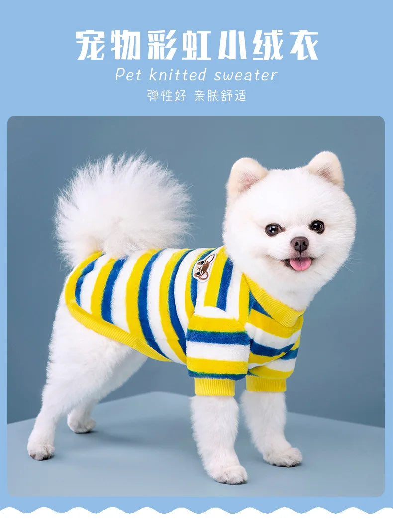 Vêtements pour animaux de compagnie d'automne et d'hiver, rayures arc-en-ciel, mignons et chauds, vêtements pour chats en peluche, fournitures pour chiens, sweat à capuche pour chien, costume Schnauzer