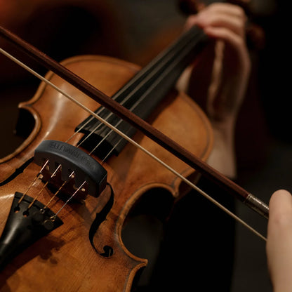 Silencieux en caoutchouc pour violon, style griffe, tourte ronde, améliore le contrôle de tonalité, idéal, ensemble de 4 pièces, 2 pièces
