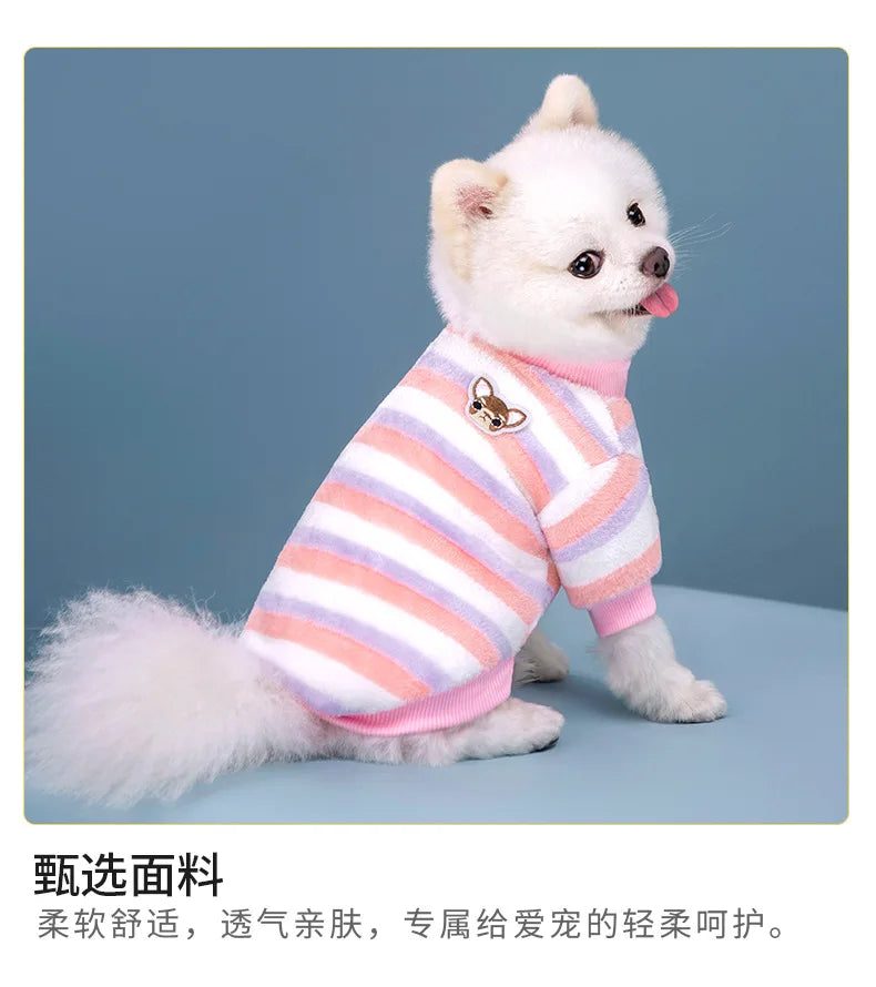 Vêtements pour animaux de compagnie à rayures arc-en-ciel pour automne et hiver, mignons et chauds, vêtements pour chatons et chiens, sweat à capuche pour chien, costume de Schnauzer