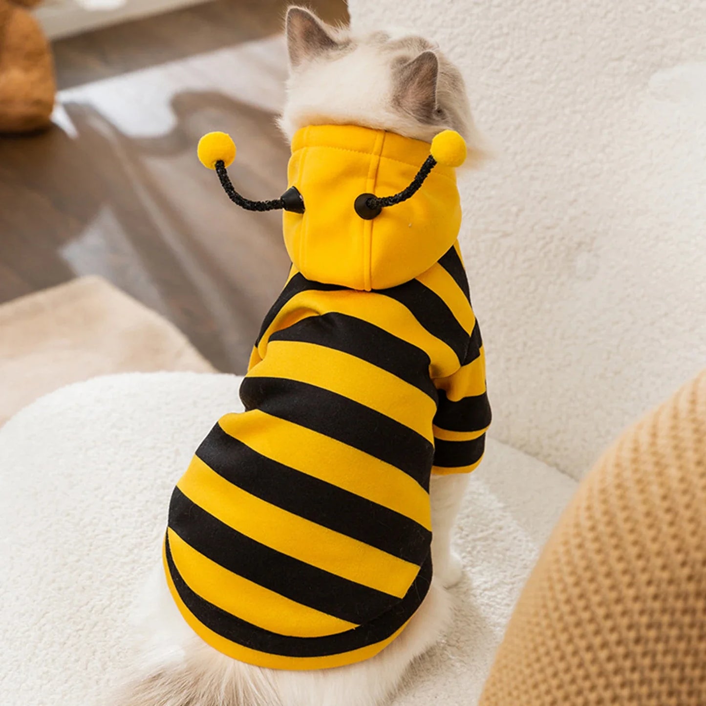 Cat costume, bee, Halloween costume, small pet clothing, fashion, adorable cat hoodies