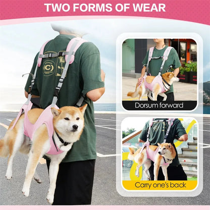 Pet Backpack, Dog Basket, Pet Accessories, Cat Travel Bags, Carrier Bag, Supplies, Home and Garden Products