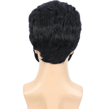 Perruque Synthétique Légendaire Rock Années 50 60 pour Hommes Perruque Elvis Perruque de Chanteur Rocker des Années 1950 avec Accessoires pour Cosplay Fête d'Halloween