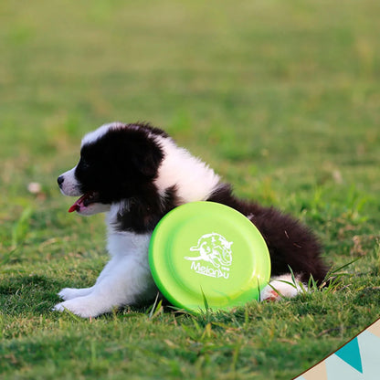 Disque d'entraînement pour chien-animal de compagnie durable pour la formation des chiots et des chiens adultes, jouet d'entraînement léger et facile à accrocher, fournitures essentielles pour animaux de compagnie