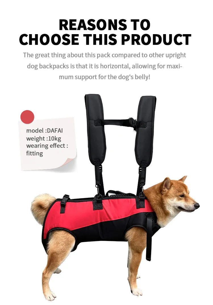 Sac à dos de voyage pour animaux de compagnie (3 tailles), porte-épaule, randonnée en plein air, marche, Durable et confortable, en tissu Oxford, pour chien/chat