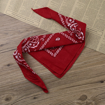 Wild West Cowboy and Cowgirl Costume, Halloween Outfit, Fringe Sleeveless Vest with Bandana and Hat
