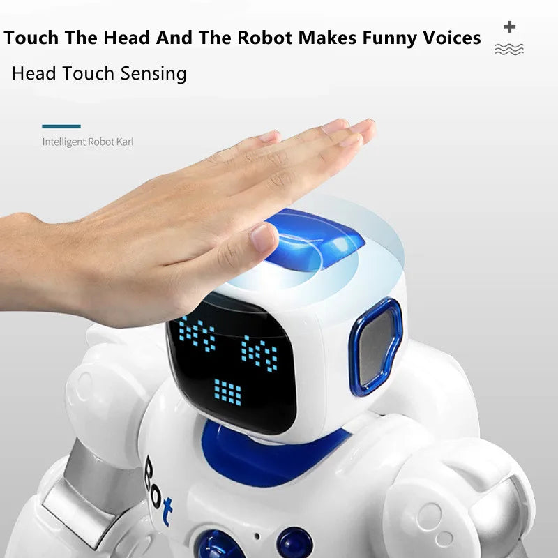 Application Control 2.4GHz, Dual Mode Programming, Demo, RC Robot, Walk/Slide Switch, Touch Sensing, Voice Recording, Singing, Dancing, Puzzle, RC Toys