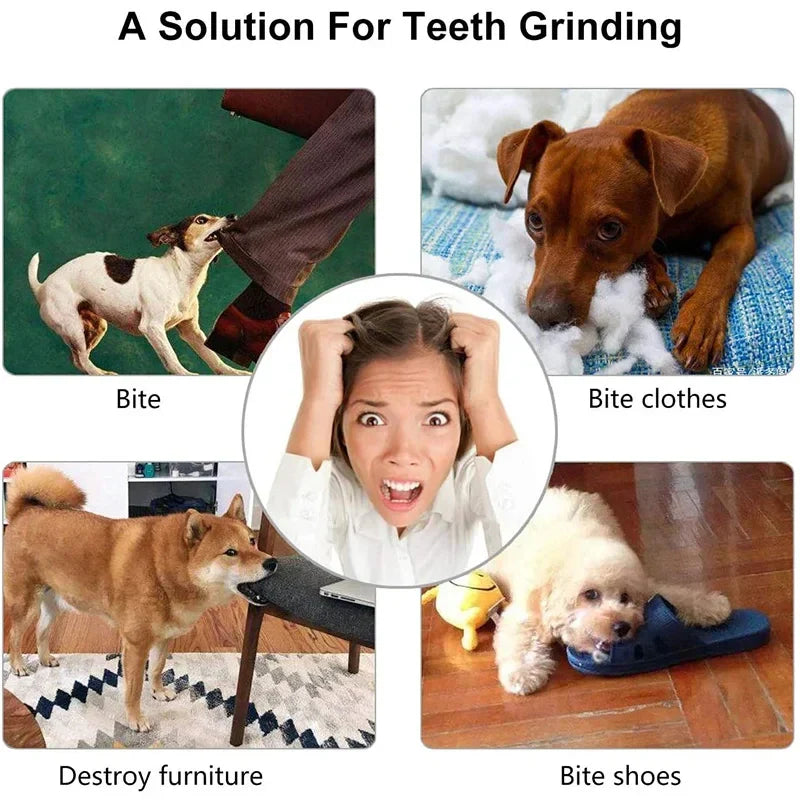 Balle de jouet pour chien, boule de jouet non toxique résistante aux morsures pour chiens de compagnie, chiot chat, mangeoire de friandises pour animaux de compagnie, boule de nettoyage des dents à mâcher