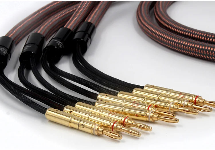 Professional OCC Speaker Lines - Accuphase Anniversary 4x4 Banana Plugs for Hi-Res Systems