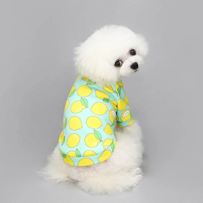 Chihuahua Chien Sweat-shirt Chiot Chat Pull Chiens Petit Chien Sweat à Capuche Manteau Hiver Chaud Vêtements pour Animaux de Compagnie pour Bouledogue