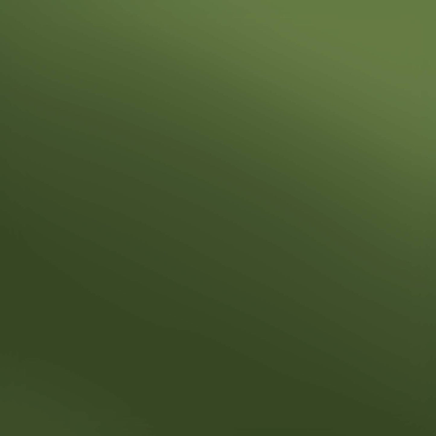 Siser Olive Electric