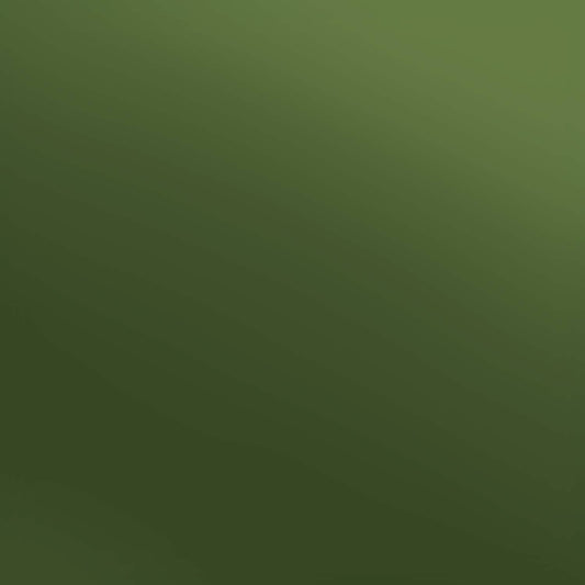 Siser Olive Electric