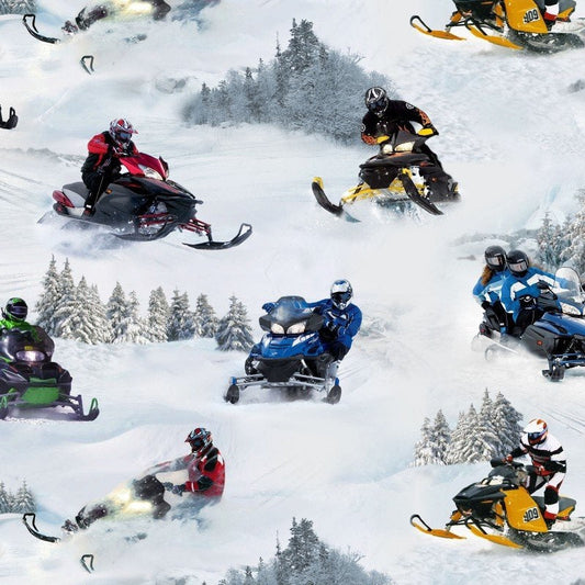 Elizabeth's Studio- In Motion- Snowmobilies- 293-White