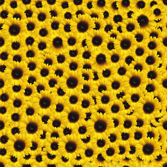Craft HTV Suntastic Yellow Sunflower Pattern