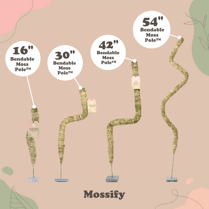 Tuteur en Mousse Souple Original™ - Meilleure Vente (Tiges Incluses)