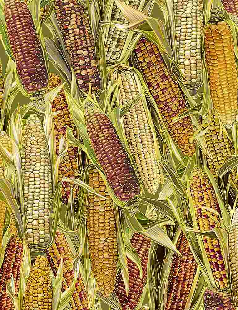 Récolte - Maïs en conserve - Multigrain avec de l'or