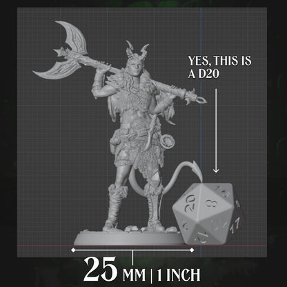 Tiefling Barbarian | Axe | 5e