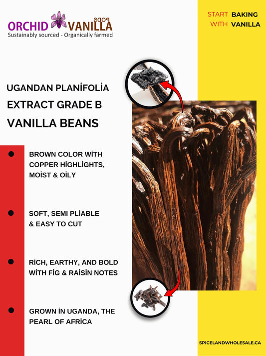 Ugandan Extract Vanilla Beans Grade-B <br>For Extract Making<BR>By Pound