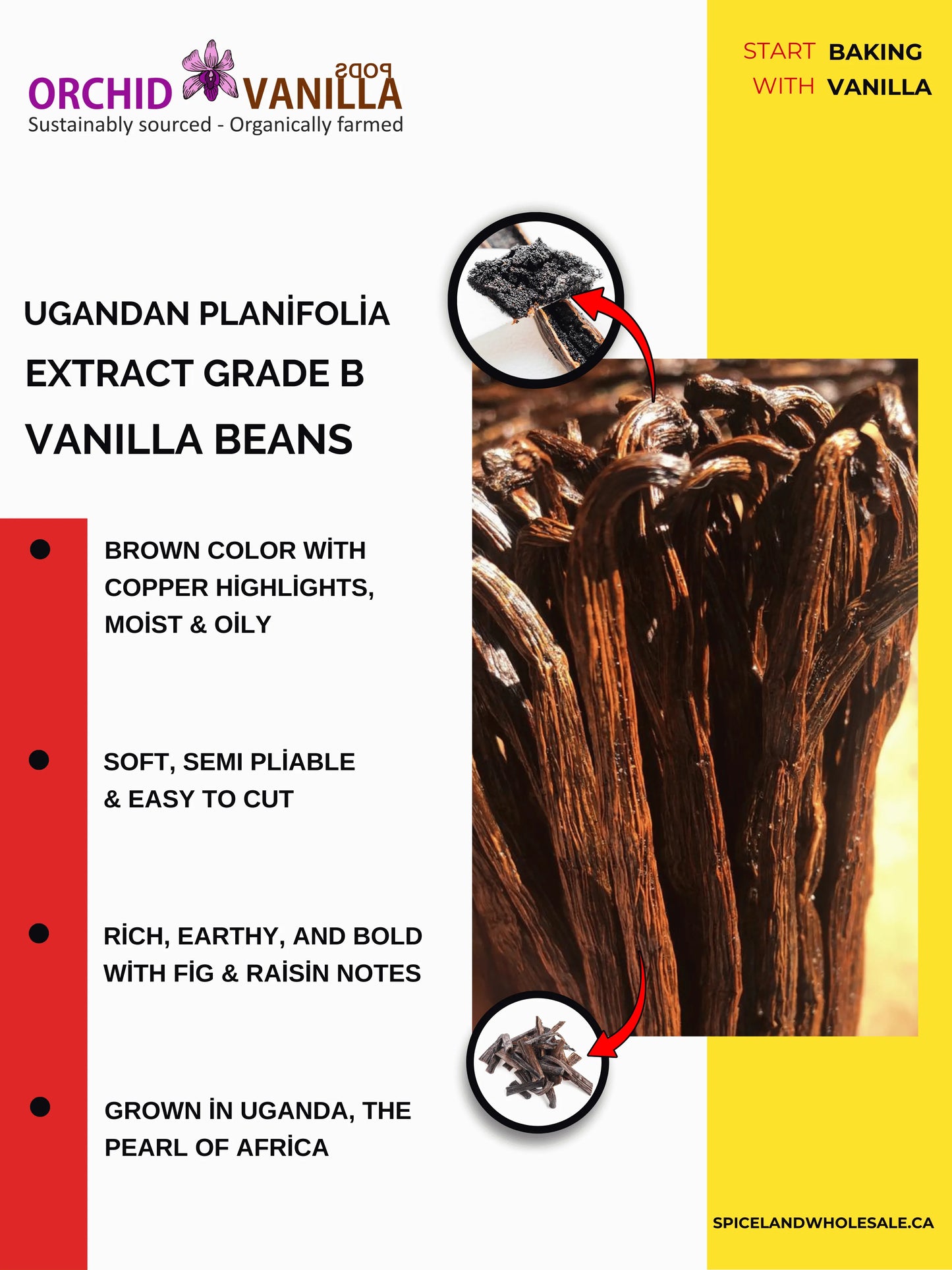 Ugandan Extract Vanilla Beans Grade-B <br>For Extract Making<BR>By Count