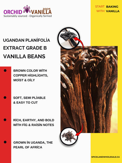 Ugandan Extract Vanilla Beans Grade-B <br>For Extract Making<BR>By Ounce