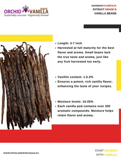 Ugandan Extract Vanilla Beans Grade-B <br>For Extract Making<BR>By Ounce
