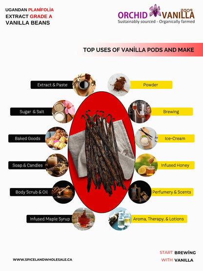 Ugandan Extract Vanilla Beans Grade-B <br>For Extract Making<BR>By Count