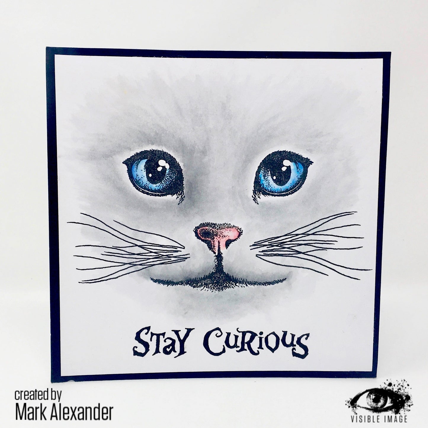 Visible Image Curious Cats - Set de Tampons A6