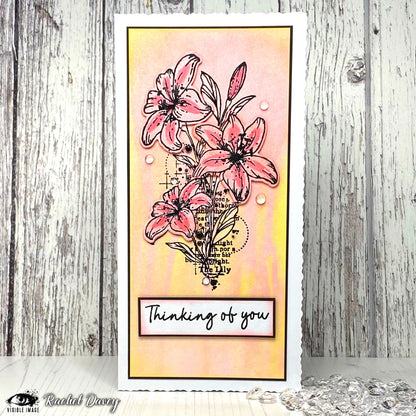 Visible Image Lilies With Love Co-ordinating Dies