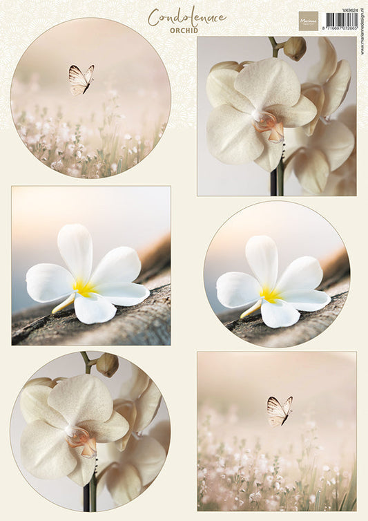 Marianne Design A4 Cutting Sheet - Condolence - Orchid