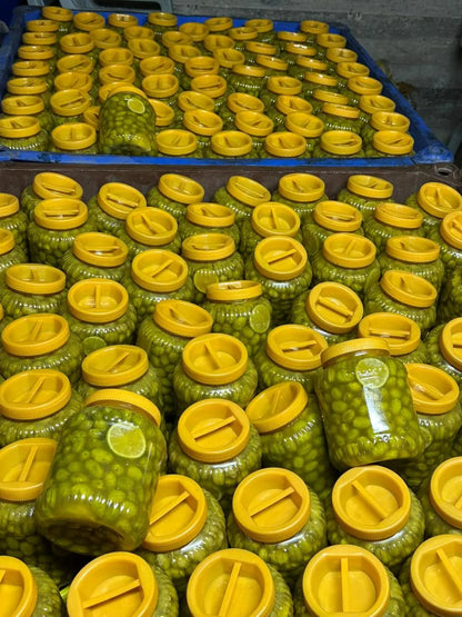 Tulkarm Palestinian Pickled Green Olives