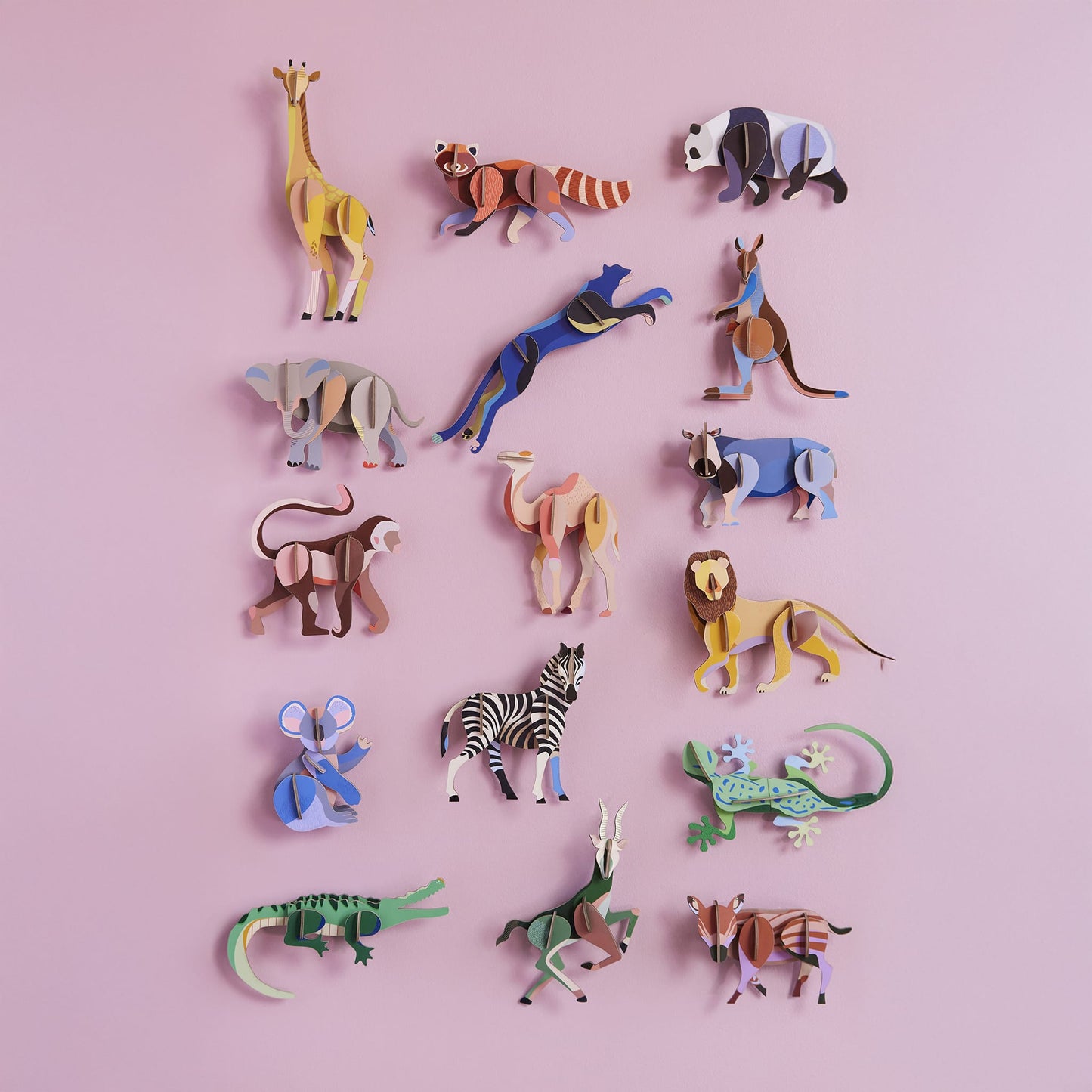 Animal sauvage - Zèbre