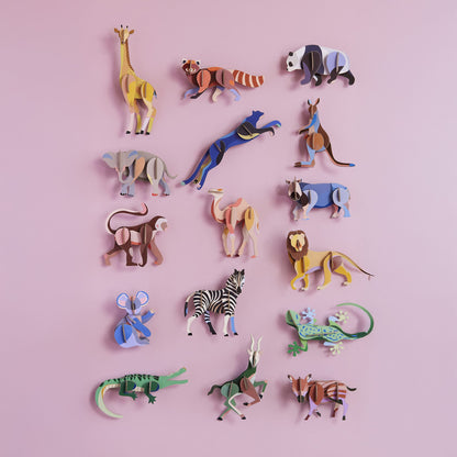 Animal sauvage - Zèbre