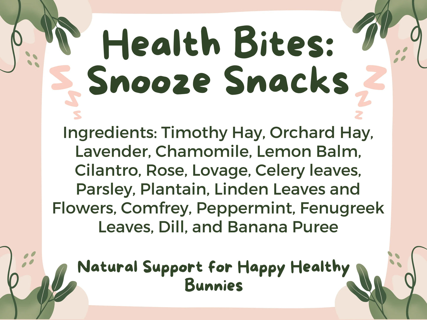 Health Bites: Snooze Snacks