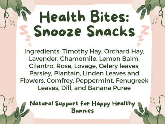 Health Bites: Snooze Snacks