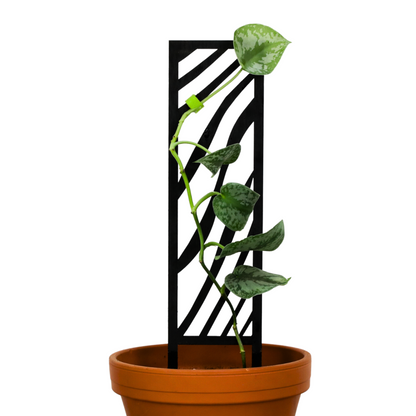 Trellis en bois Zébra