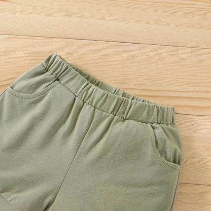 Boy's Little Dinosaur Lapel Cotton Short Sleeve Top Short Pants Suit Two piece for boys.