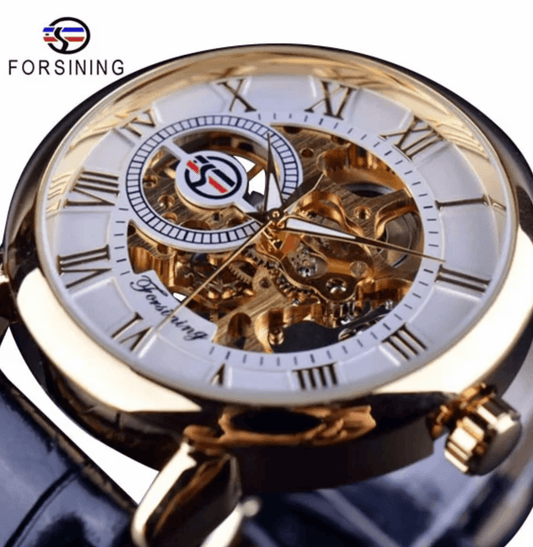 Montre de Luxe pour Homme