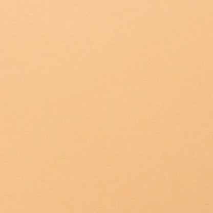 Clairefontaine - Maya Cardstock 120lb Paper - 20x28"