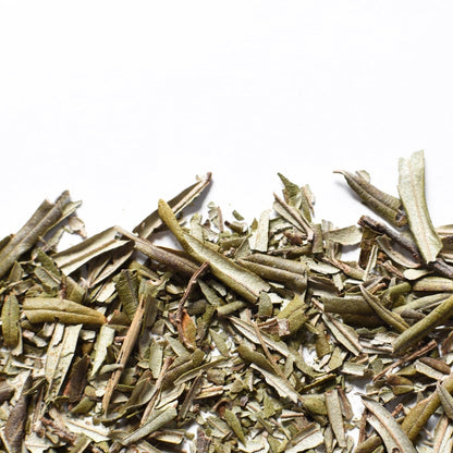 Argousier, feuille