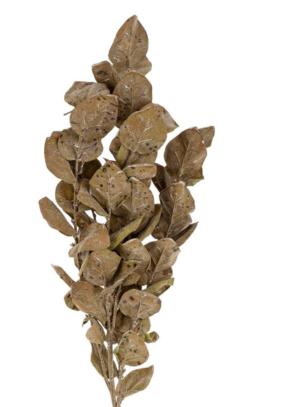 Autumn Leaves Branch – Brown