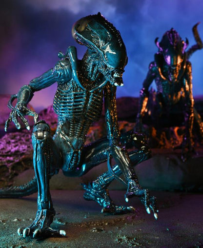 Neca - Alien vs. Predator Arachnoid - Movie Deco
