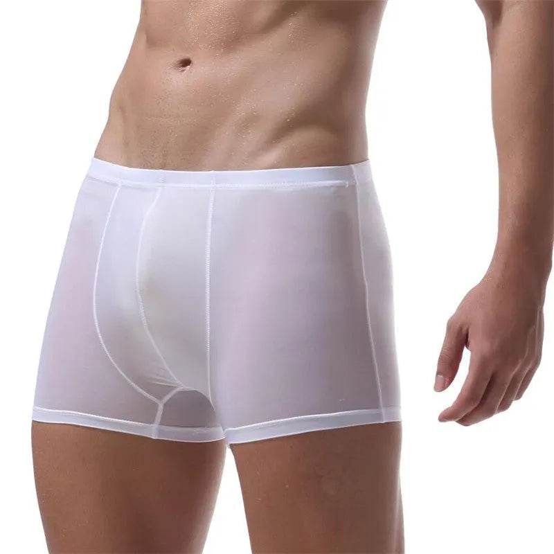 Ice Silk Transparent Elastic Boxer briefs Pant underwear for men
