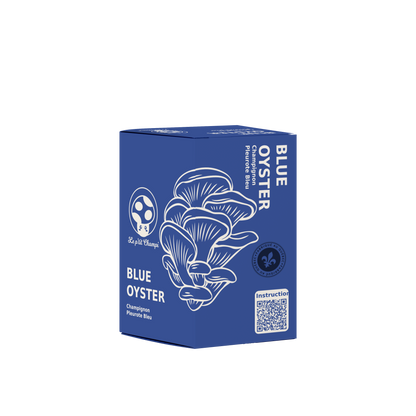 Blue Oyster Mushroom Kit