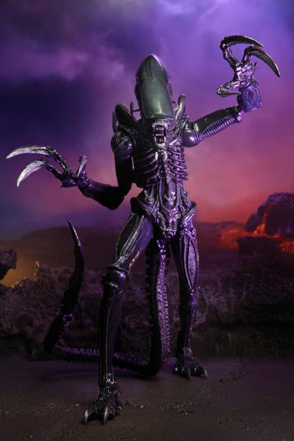 Neca - Alien vs. Predator Razor Claws - Movie Deco