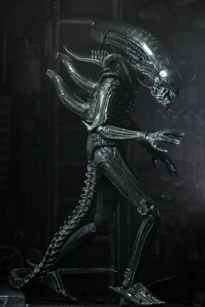 Neca - Alien - Ultimate 40th Anniversary Big Chap