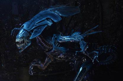 Aliens Xenomorph Queen Deluxe Action Figure